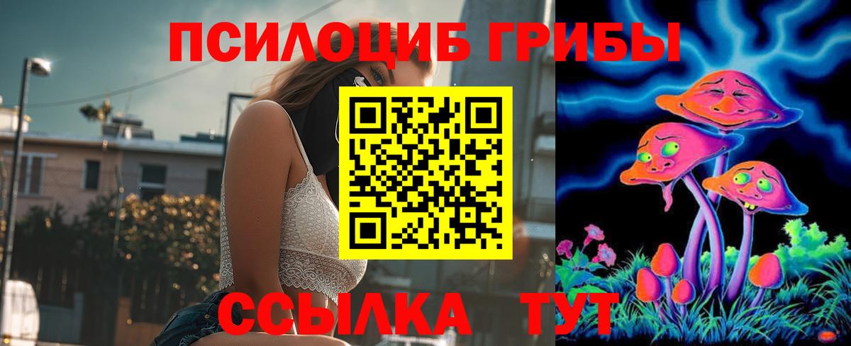 Псилоцибиновые грибы GOLDEN TEACHER Нефтекамск